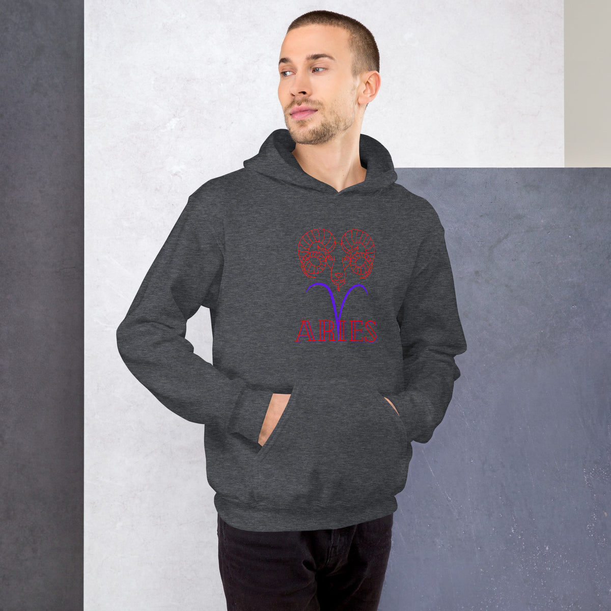 Aries Hoodie
