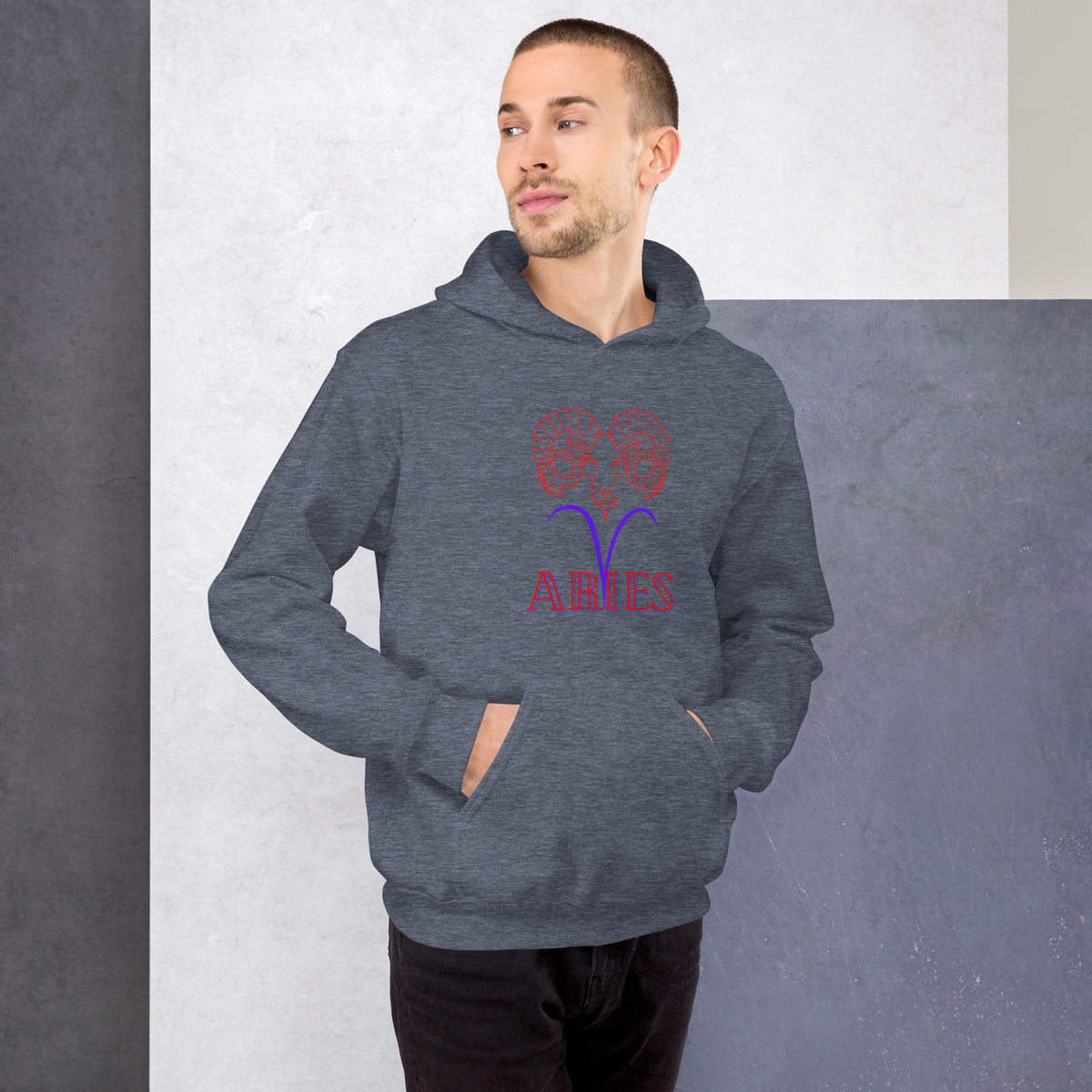 Aries Hoodie