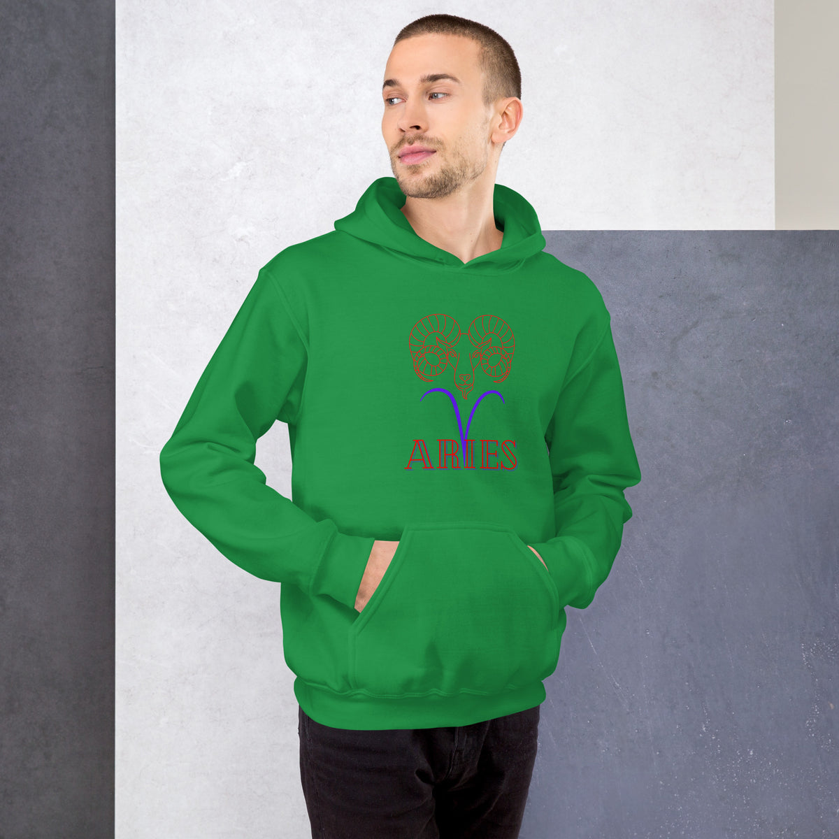 Aries Hoodie