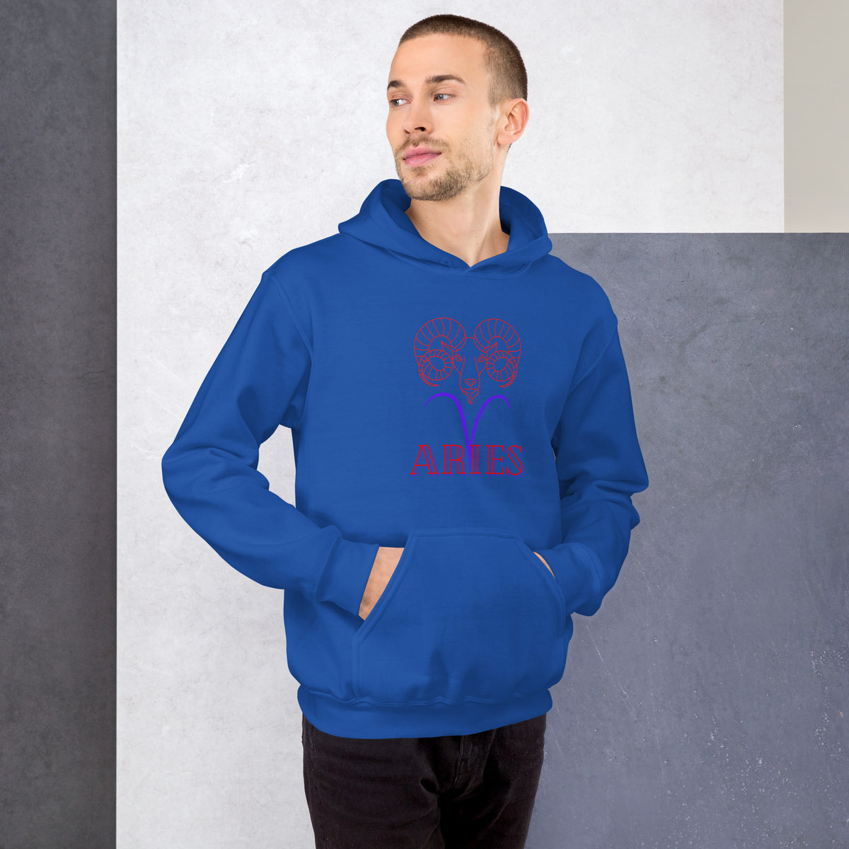 Aries Hoodie